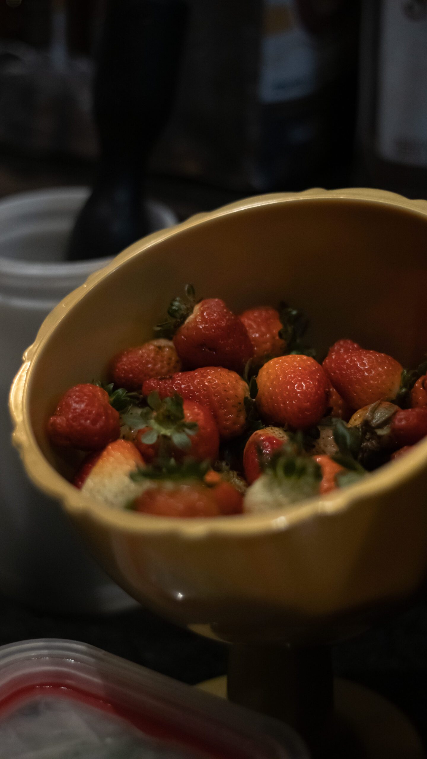 ALIMENTOS (2)