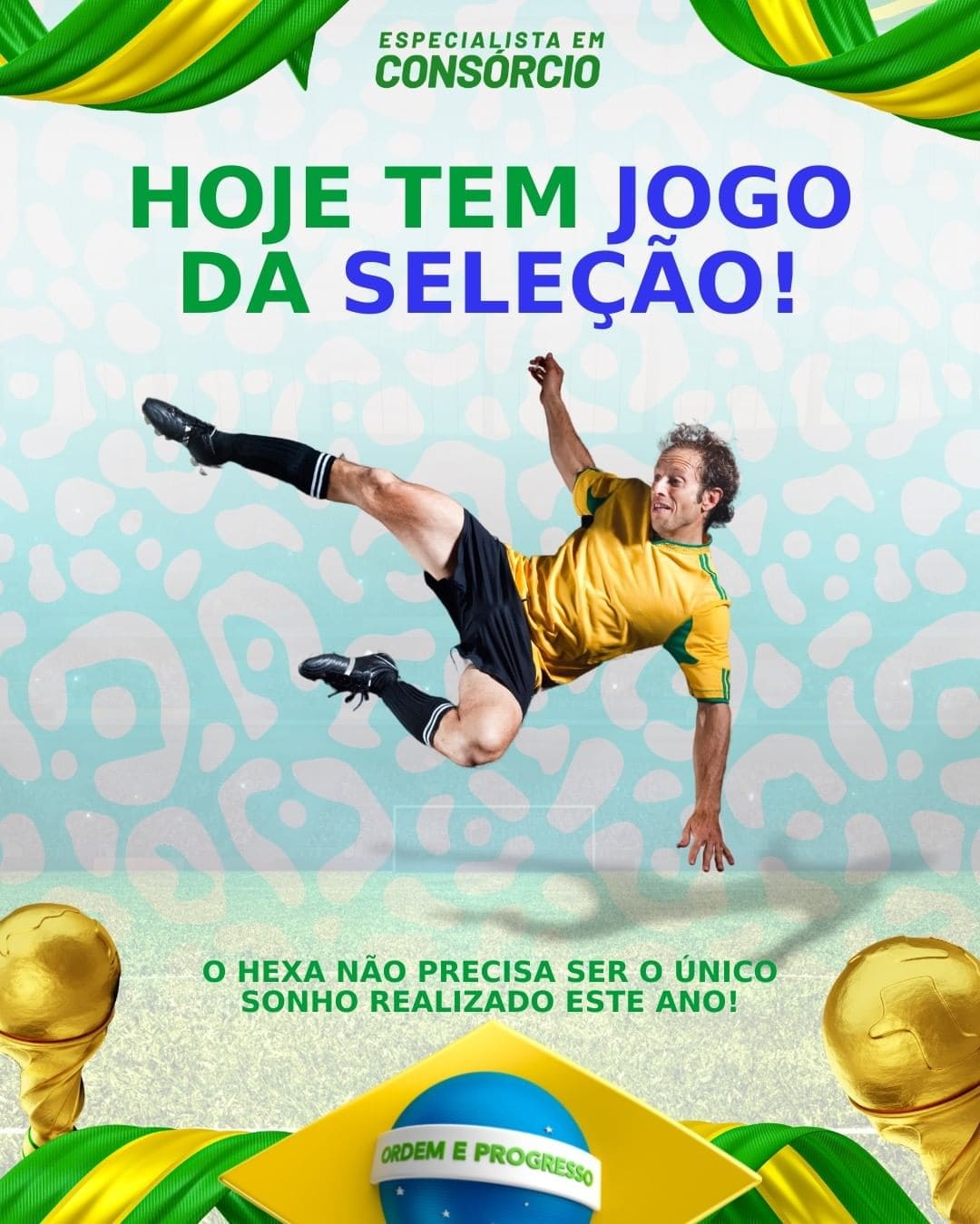 Design (41)